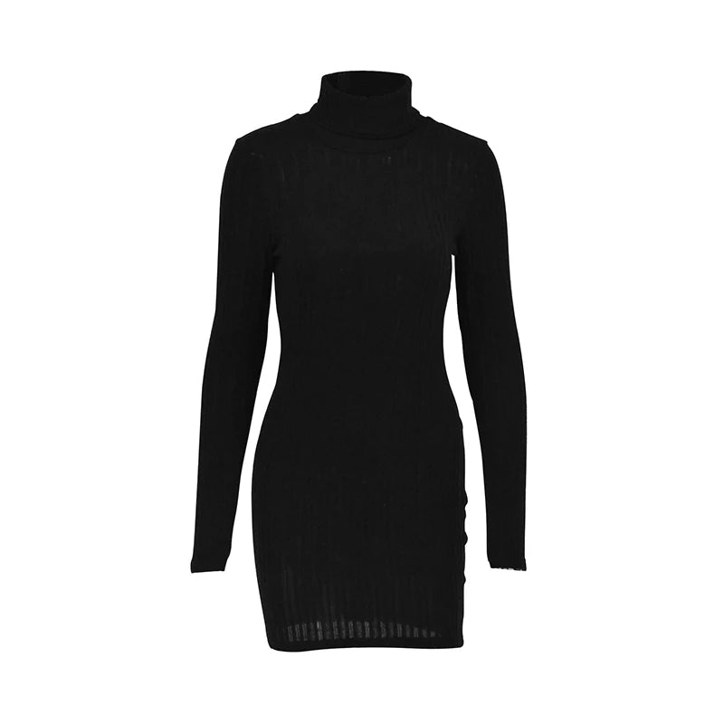 Long Sleeved Knitted Dress